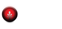 Del Bajo